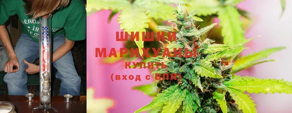 2c-b Вяземский