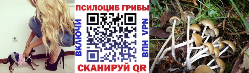 Псилоцибиновые грибы ЛСД  Купить где  Ленинск 