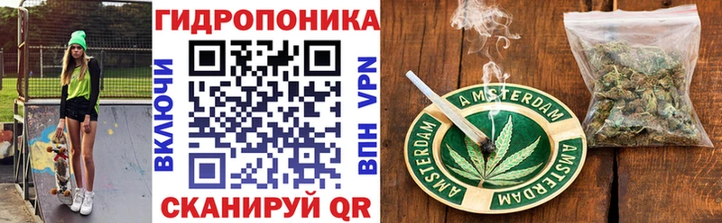 Купить где  Ленинск  Шишки марихуана сатива 